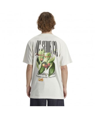 T-Shirt DC Shoes Mens SEED PLANTER