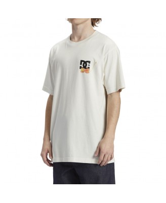 T-Shirt DC Shoes Mens SEED PLANTER