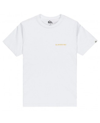 T-Shirt Quiksilver Kids EV DESERT WAVE 